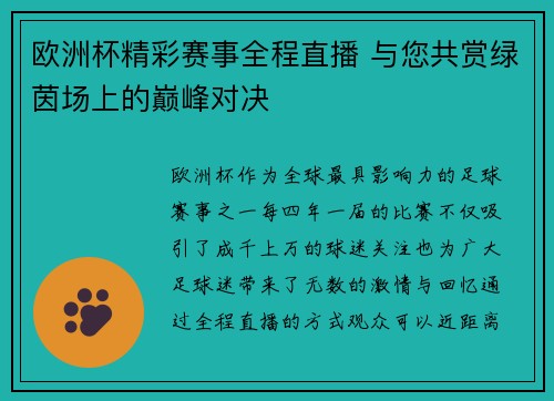 欧洲杯精彩赛事全程直播 与您共赏绿茵场上的巅峰对决
